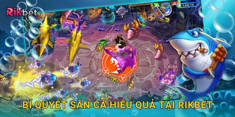 Bí quyết săn cá hiệu quả tại Rikbet